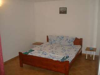 Гостевой дом Vila Dora Костинешти Двухместный номер с 1 кроватью или 2 отдельными кроватями-21