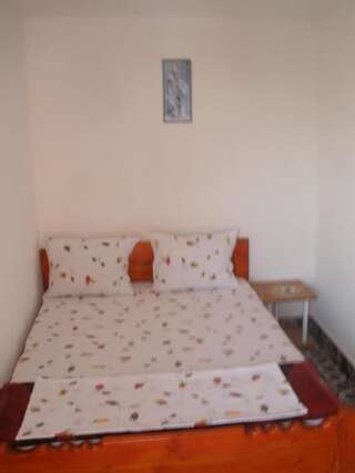 Гостевой дом Vila Dora Костинешти Двухместный номер с 1 кроватью или 2 отдельными кроватями-30