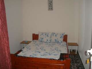 Гостевой дом Vila Dora Костинешти Двухместный номер с 1 кроватью или 2 отдельными кроватями-33
